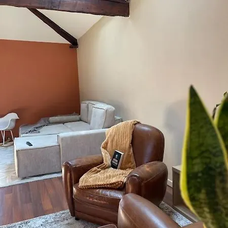 Apartment De Charme 80m2 Givors